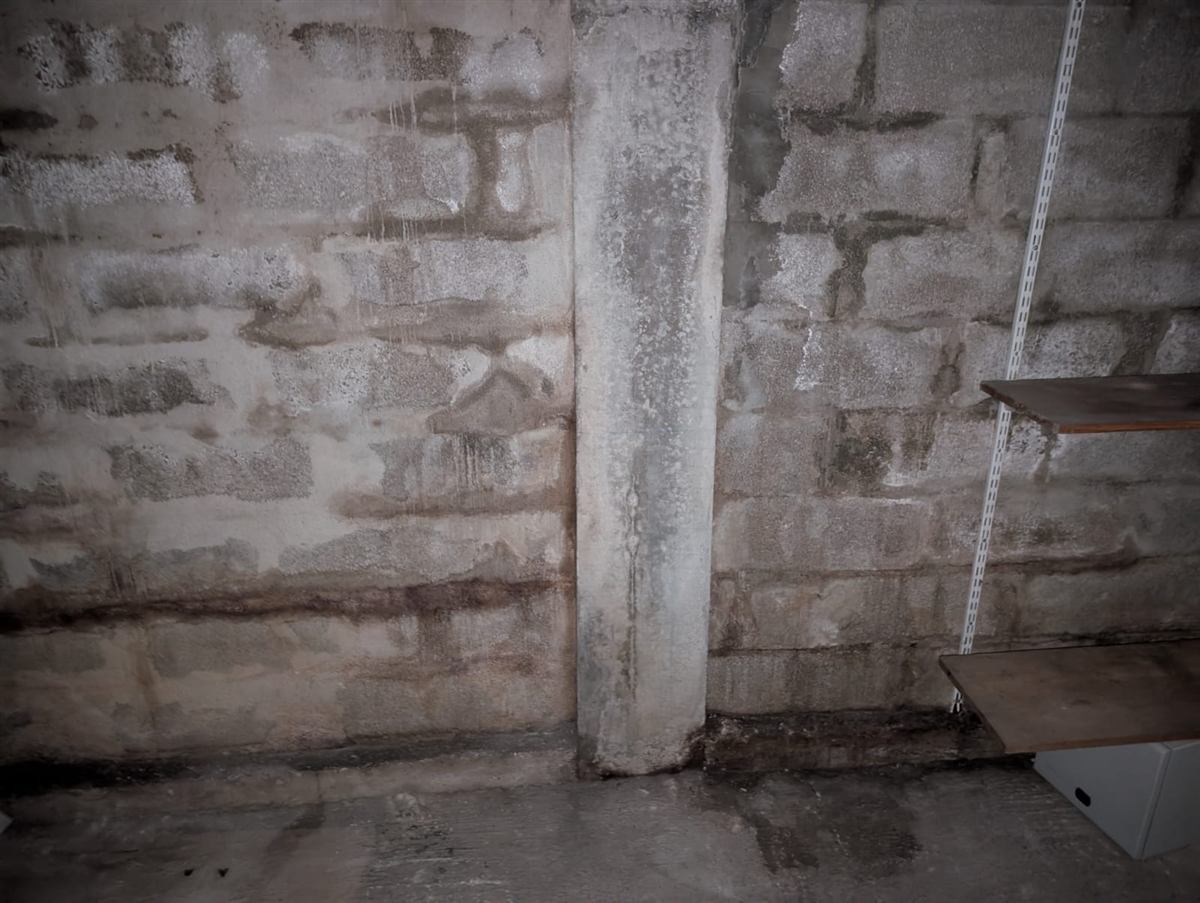 Cave : humidité et salpêtre : mur en blocs béton humide, efflorescences blanches et traces d'eau en pied de mur.