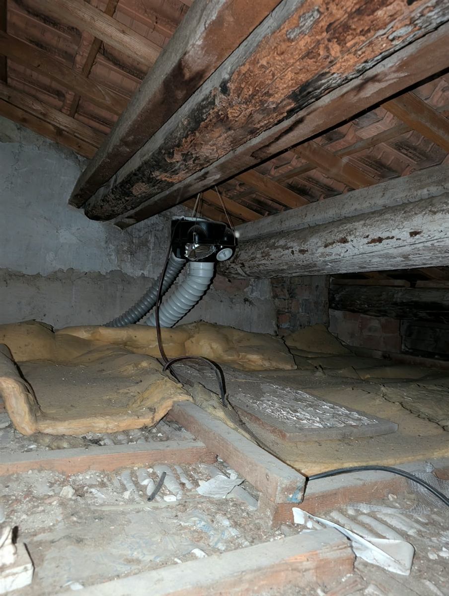 Combles : bois altéré, isolant tassé : pièce de charpente altérée en surface, isolant affaissé et déplacé, caisson de ventilation suspendu.